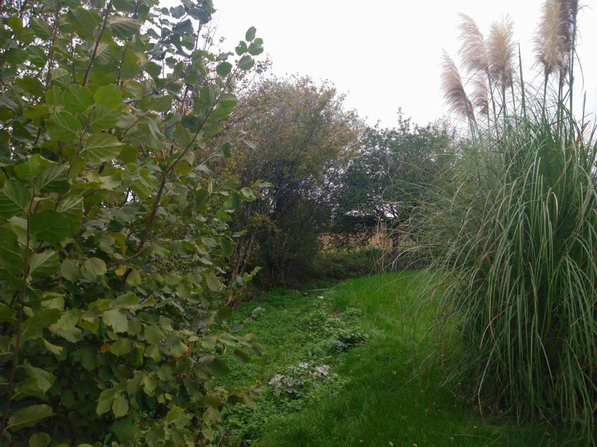 Gite De La Basse Roche Souge  Exterior foto